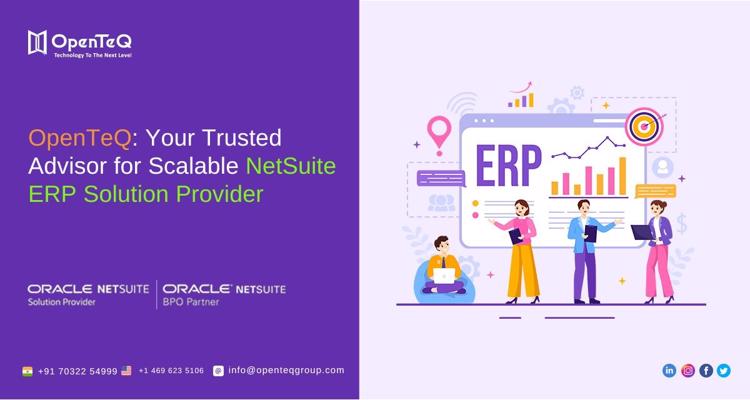 NetSuiteErp solution provider